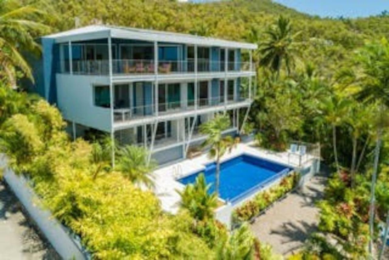 Baybliss Apartments Studio 1 Shute Harbour Eksteriør bilde