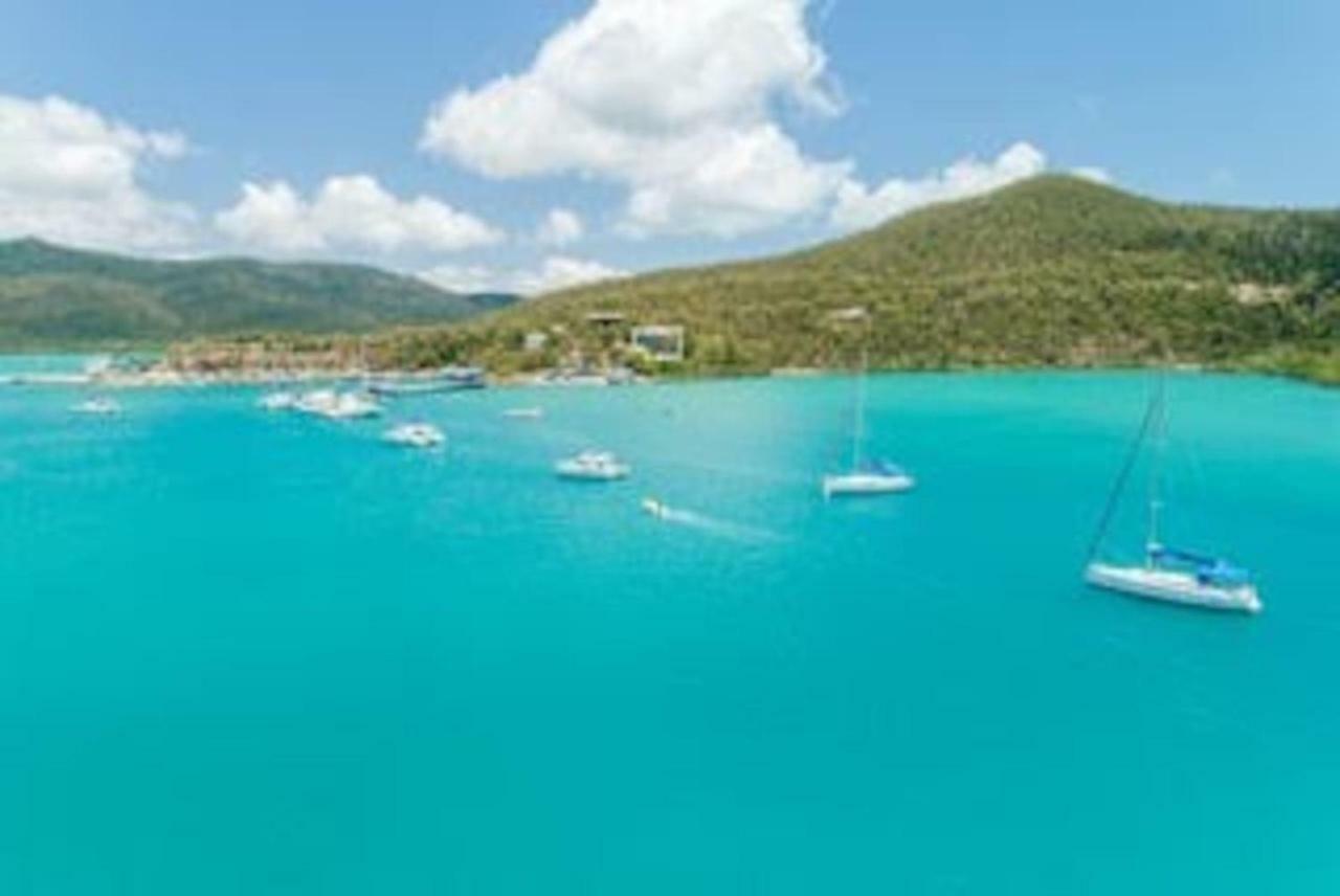 Baybliss Apartments Studio 1 Shute Harbour Eksteriør bilde
