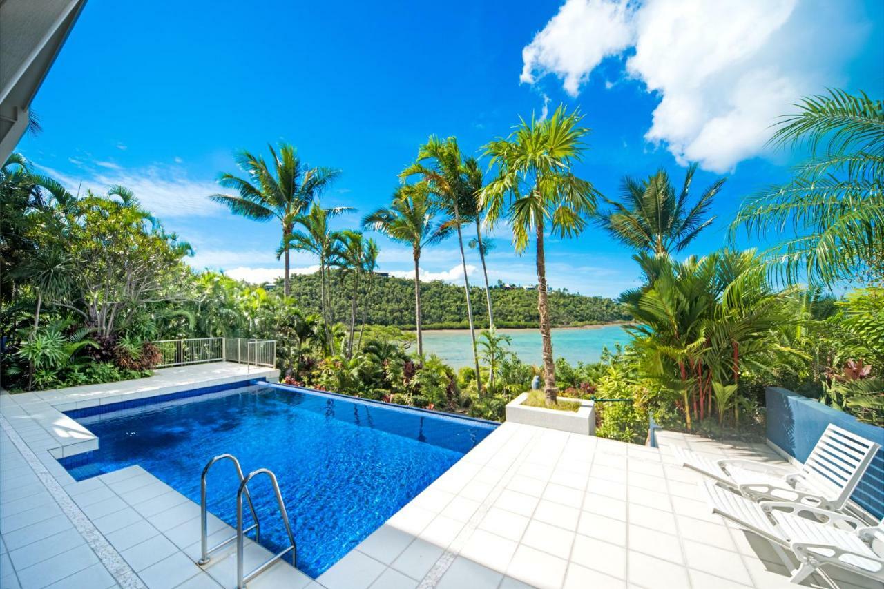 Baybliss Apartments Studio 1 Shute Harbour Eksteriør bilde