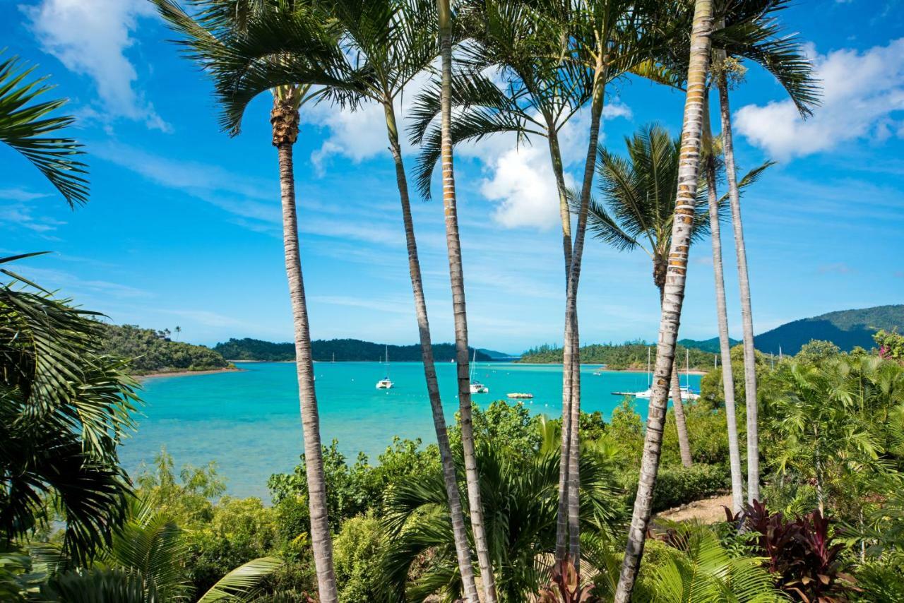 Baybliss Apartments Studio 1 Shute Harbour Eksteriør bilde